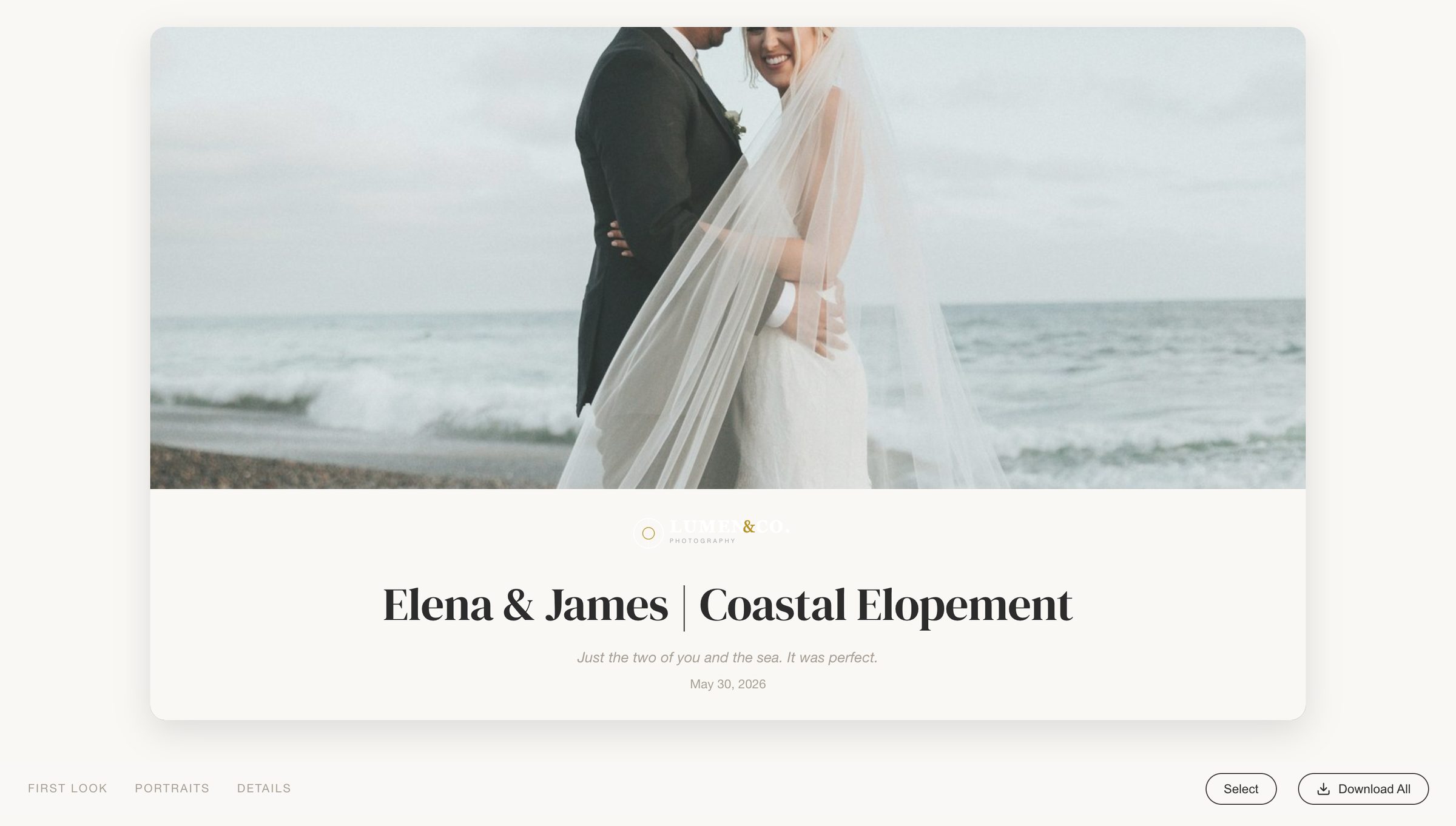 A branded client gallery with scene navigation and download buttons